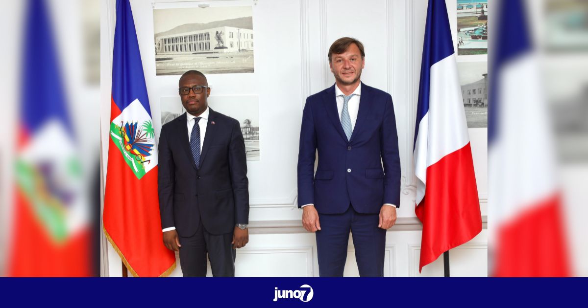 L'Ambassadeur de France nommé en Haïti rencontre le Chargé d’Affaires d'Haïti en France