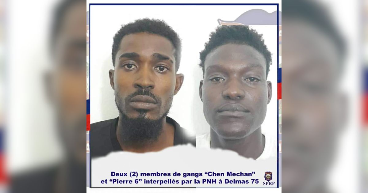 Arrestation de deux membres de gangs "Chen Mechan" et "Pierre 6"