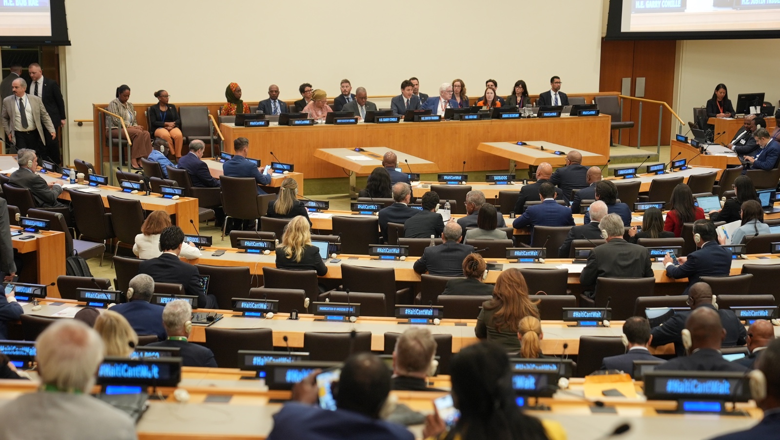 « Nous avons besoin de vous. Votre aide est non seulement nécessaire, elle est cruciale », a déclaré Gary Conille devant l’ECOSOC