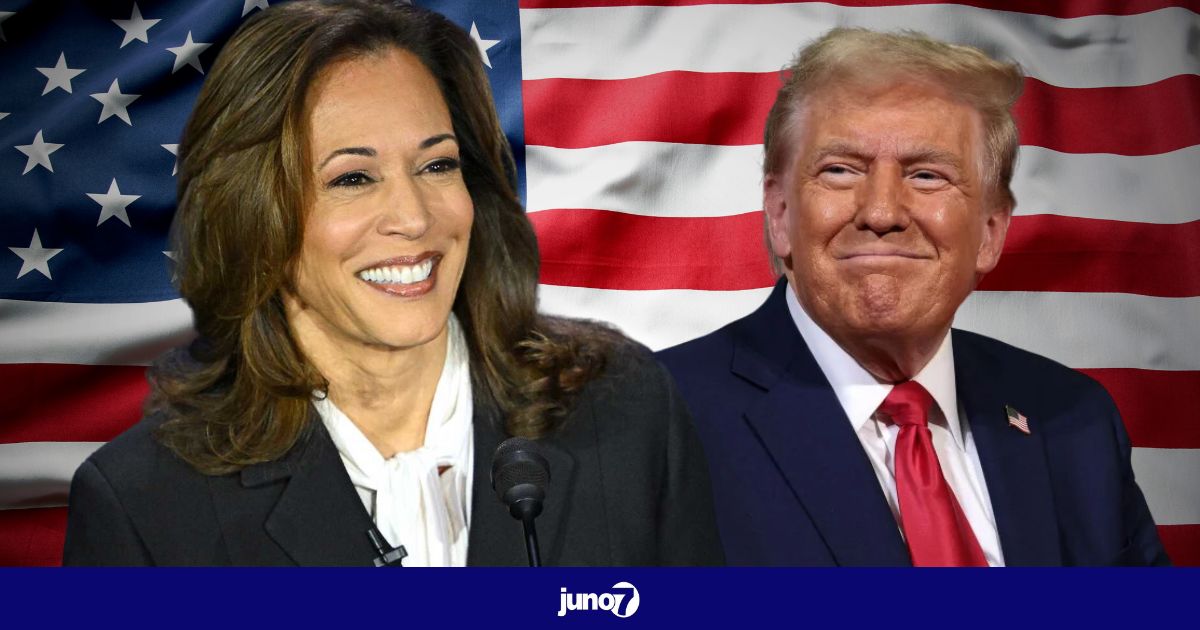 Kamala Harris ou Donald Trump ? Les opinions divergent au sein de la communauté haïtienne