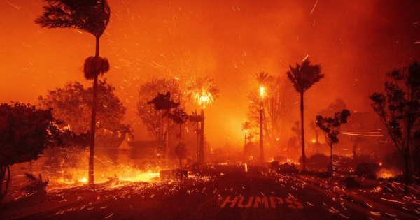 Le bilan des incendies à Los Angeles s'élève à 24 morts